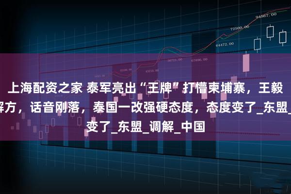 上海配资之家 泰军亮出“王牌”打懵柬埔寨，王毅外长开出解方，话音刚落，泰国一改强硬态度，态度变了_东盟_调解_中国